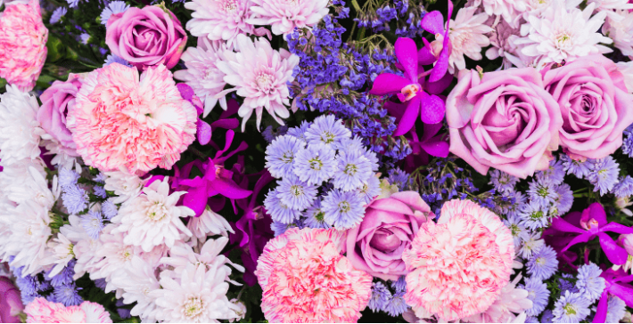 Sweet Savings Blooms: Beautiful Bouquets at Budget-Friendly Prices