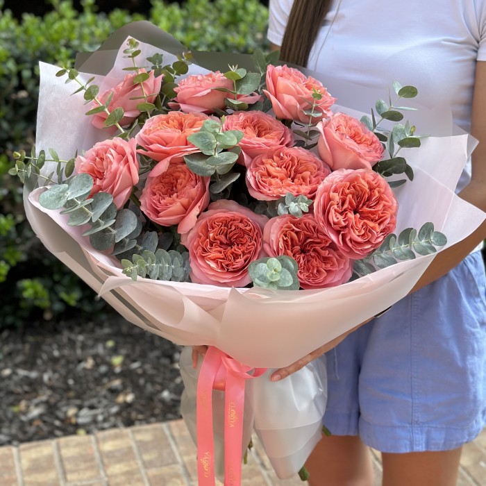 Garden roses "Rêve Pêche"