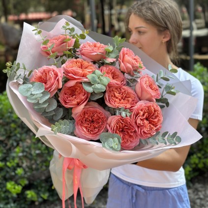 Garden roses "Rêve Pêche" FloriyaFlowes
