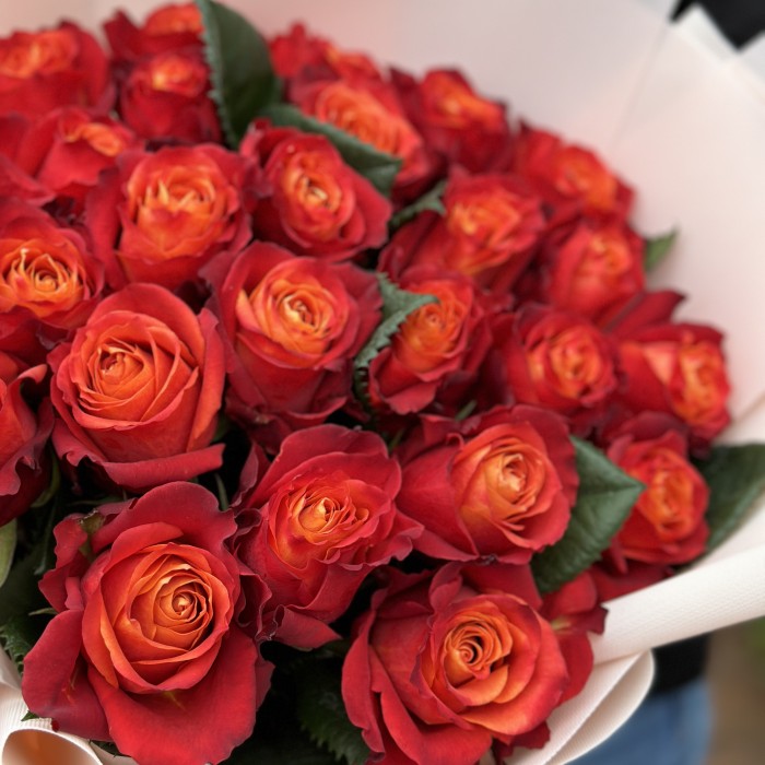 Two Dozen roses " Golden times" Floriya Flowers