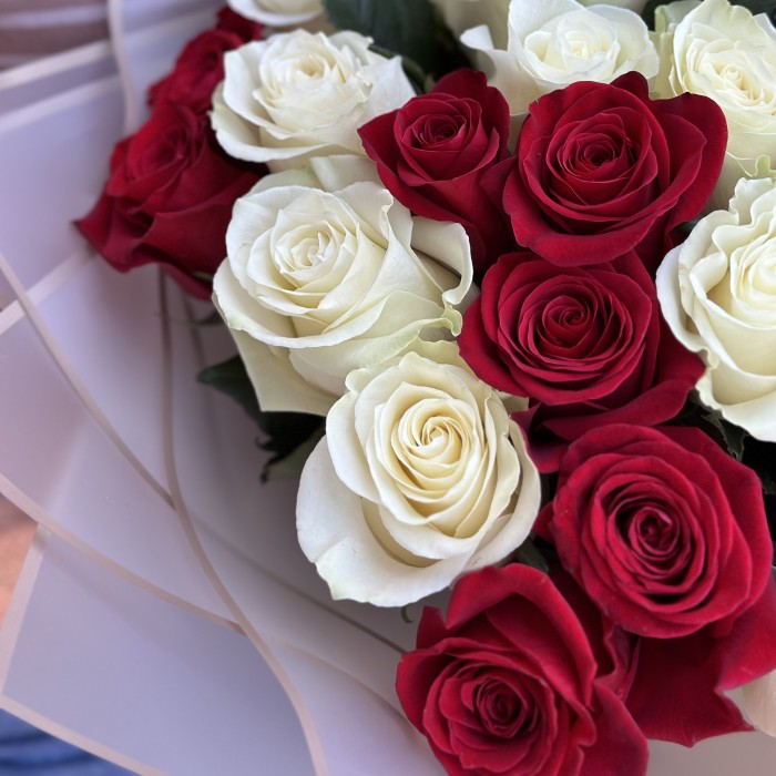 Timeless Harmony: One, Two, or Three Dozen Red and White Roses