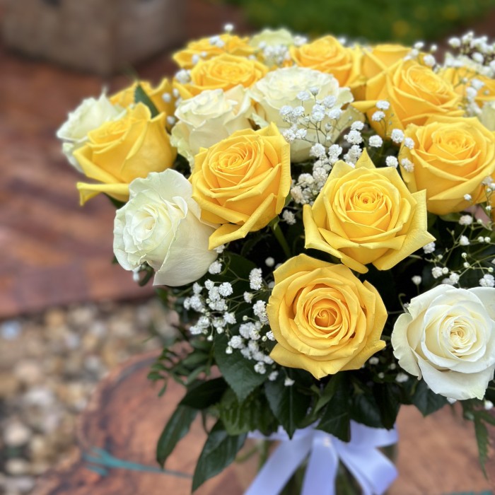 One or Two Dozen White & Yellow Roses 