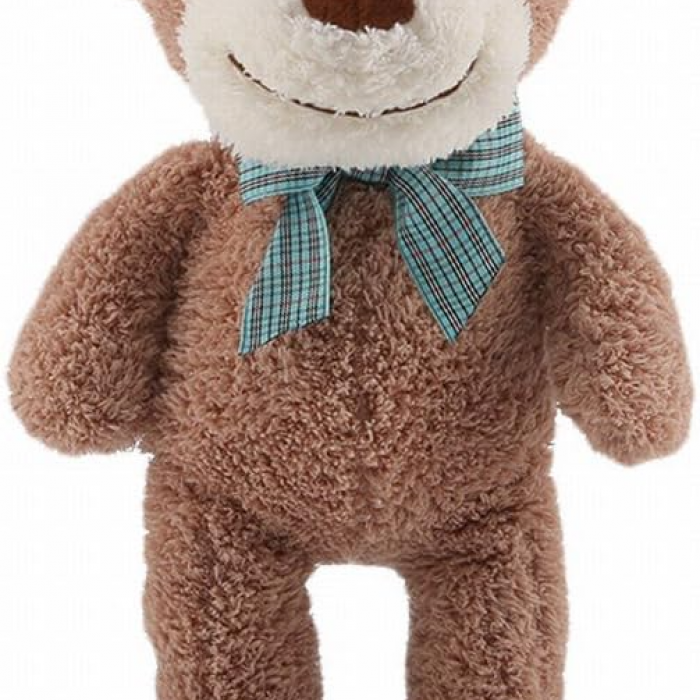 Coco Monkey