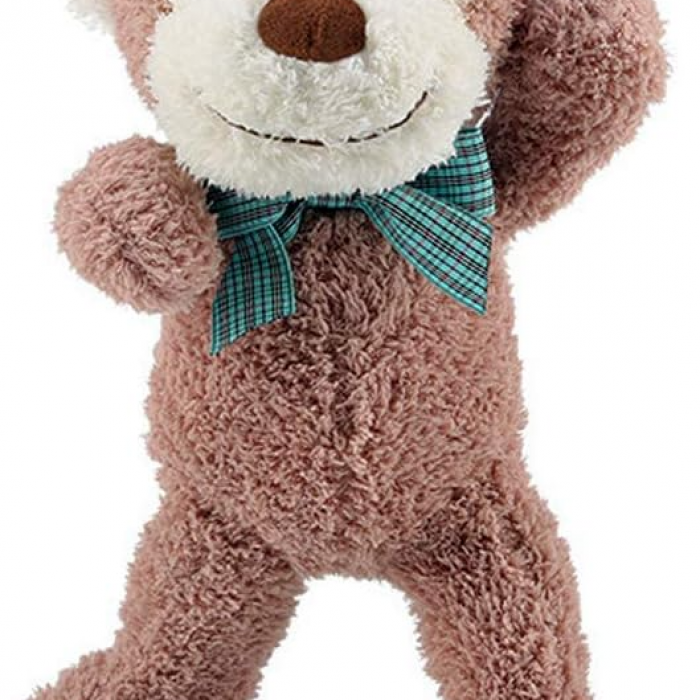 Coco Monkey