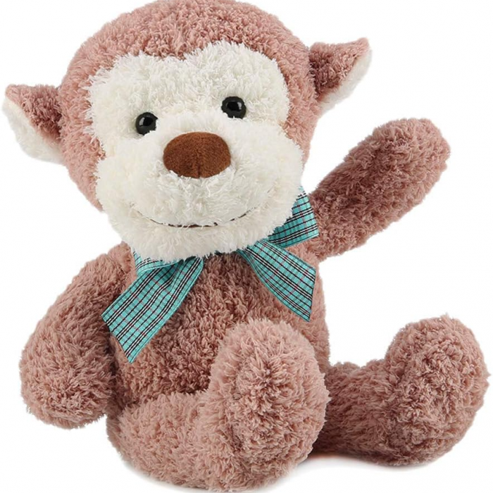 Coco Monkey