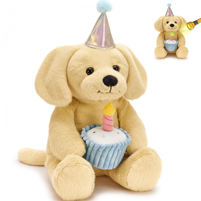 Birthday Puppy Joy