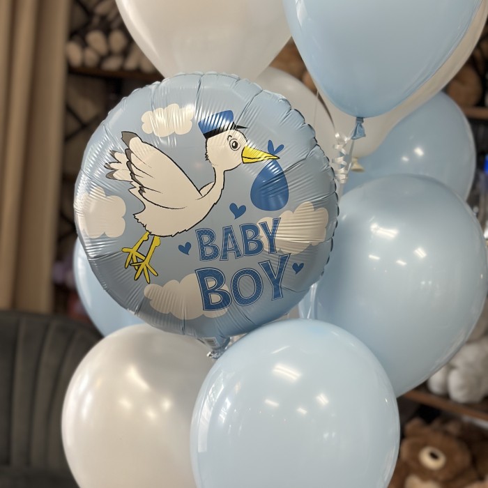 Welcome Little Prince