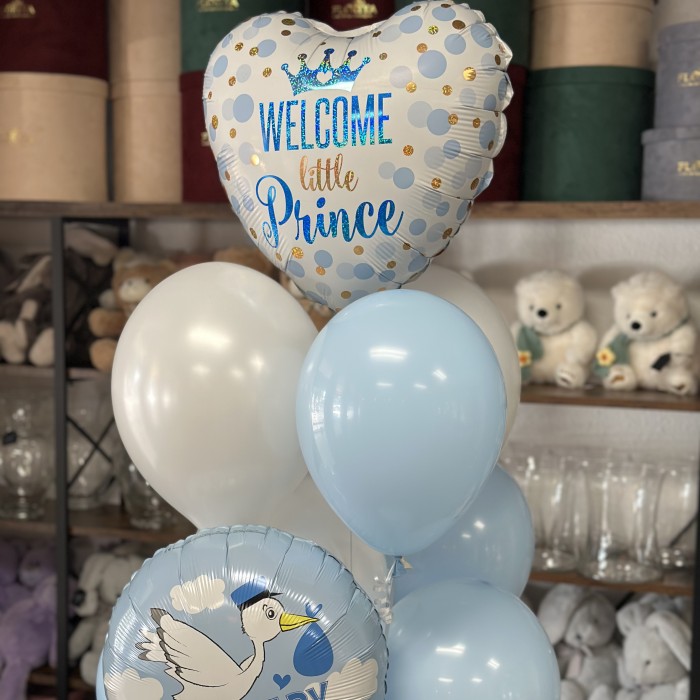 Welcome Little Prince