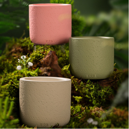 Natural Soy Wax Candle – Botanical Aroma Collection Natural Soy Wax Candle – Botanical Aroma Collection FloriyaFlowes