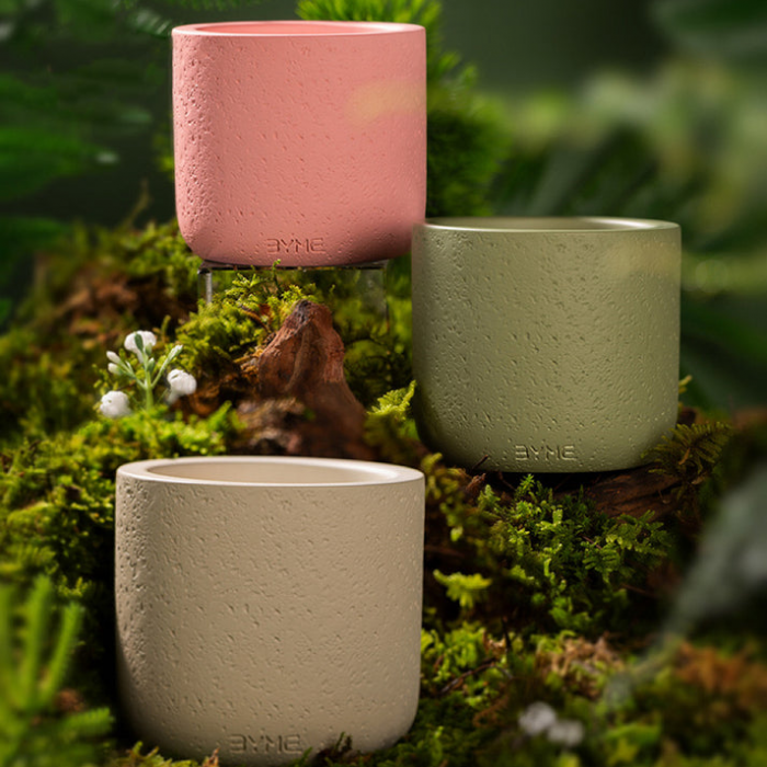 Natural Soy Wax Candle – Botanical Aroma Collection